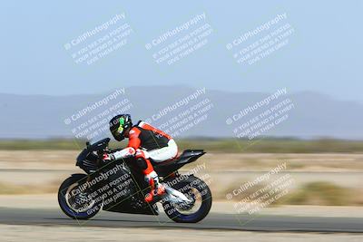 media/Apr-10-2022-SoCal Trackdays (Sun) [[f104b12566]]/Speed Shots Back Straight (930am)/